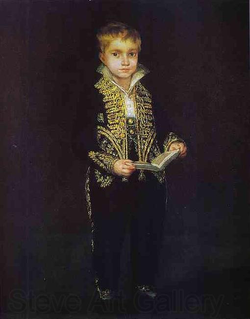 Francisco Jose de Goya Portrait of Victor Guye Norge oil painting art